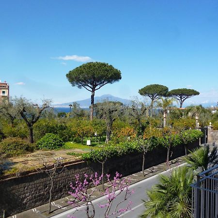 Angelina Suite B&B - Sorrento Centro Dış mekan fotoğraf