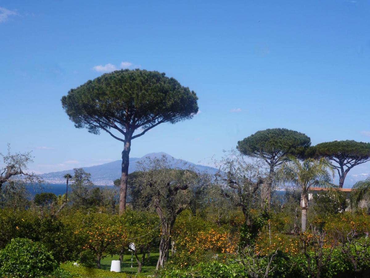 Angelina Suite B&B - Sorrento Centro Dış mekan fotoğraf