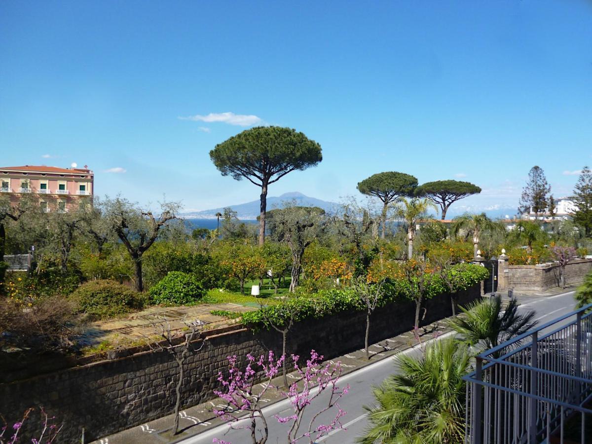 Angelina Suite B&B - Sorrento Centro Dış mekan fotoğraf